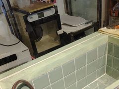 -小青宠物店低压洗护(猫狗分区店)