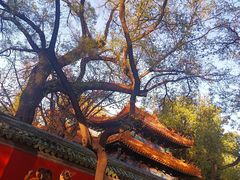 -北京国子监胡同