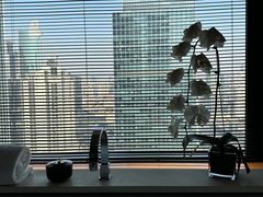 -上海璞麗酒店
