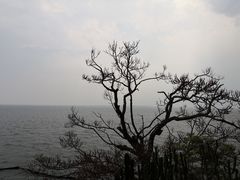 -南诏风情岛