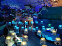 -烟台海昌鲸鲨海洋公园