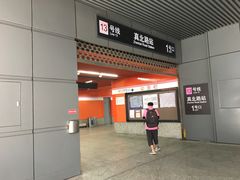 -真北路(地铁站)