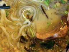 -胡大怪手工酸辣粉(安亭店)