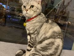 -平行世界·猫咖(首经贸店)