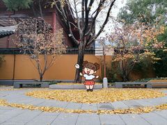 -龙华寺