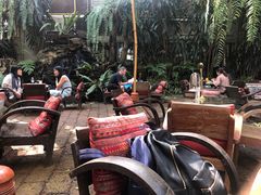 -Fern Forest Cafe