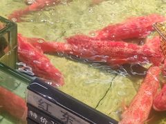 -九號渔港·蒸汽海鲜·粤菜茶点(八卦岭店)