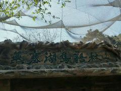 -燕塞湖鸟语林景区
