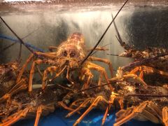 -馬車會海鮮酒樓