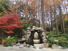 -上海醉白池公园