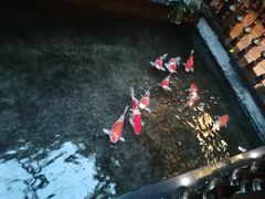 -福禧酒窖·中餐厅 (万柳店)