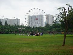 -万绿园