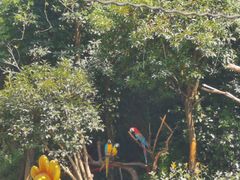 -宁波野生动物园