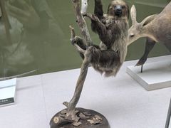 -国家自然博物馆