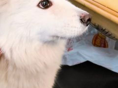-不止轰趴独栋别墅户外烧烤(颐西庄园店)