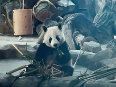 -武汉动物园