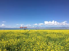 -青海湖国家重点风景名胜区