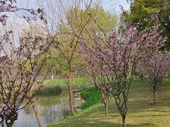 -汉水公园