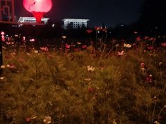 -重庆大队长火锅(凤城八路店)