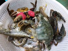 -蟹谢蒸鲜自助餐厅