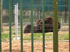 -秦皇岛野生动物园