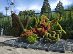 -丰台花园