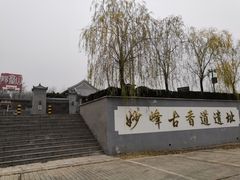 -北京鹫峰国家森林公园