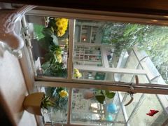 android_upload_pic-燕庭·纯燕窝·甜品下午茶(南京西路店)