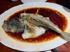 清蒸鲜鲈鱼-古南都·老广东酒楼(龙江店)