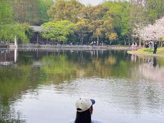 -上海共青森林公园