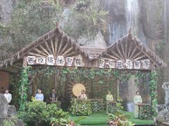 -西双版纳原始森林公园