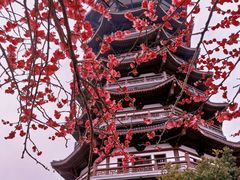 -洋湖国家湿地公园
