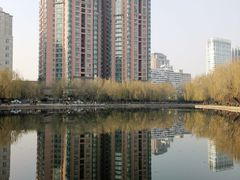 -团结湖公园