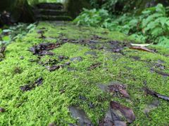 -山王坪喀斯特国家生态公园