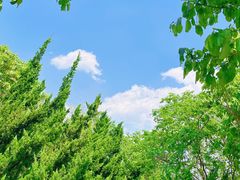 -崇圣寺三塔文化旅游区