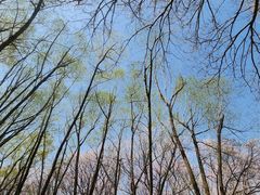 -长春公园(普阳街道)