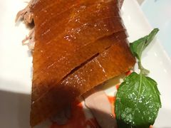 -鸭匠食府·挂炉烤鸭·新京菜(阜成路店)