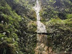 -鹿院坪生态旅游景区