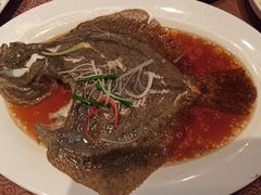 清蒸多宝鱼-东方明珠老上海8号餐厅(东方明珠广播电视塔店)