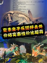 -恐龙探索乐园(磁器口店)