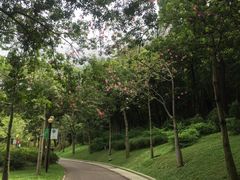 -云溪植物园