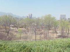 -滨河世纪广场公园