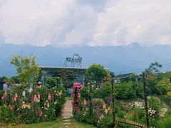 -猫米花园