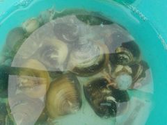 -北海金海湾红树林生态旅游区