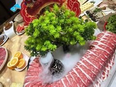 -清真军邺·金富苑肥牛(石坡街旗舰店)