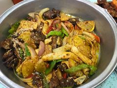 -尕胡才炕锅烤羊肉馆(八一路店)