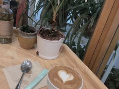 -猫的天空之城概念书店(印象城购物中心店)