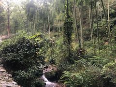 -仙霞关景区
