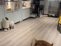 -朗丽兹自助餐厅