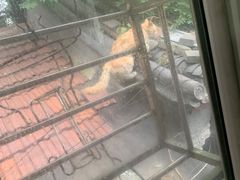 -高记麻辣烫